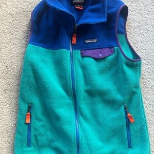 Patagonia synchilla color block Fleece Vest